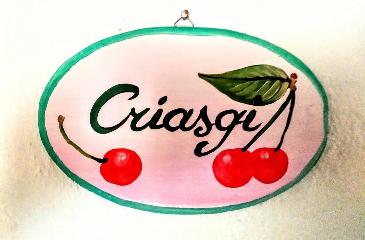 Gallura Experiences Li Criasgi Aggius Экстерьер фото